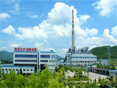福(fú)建華電(dian)邵武發(fā)電廠
