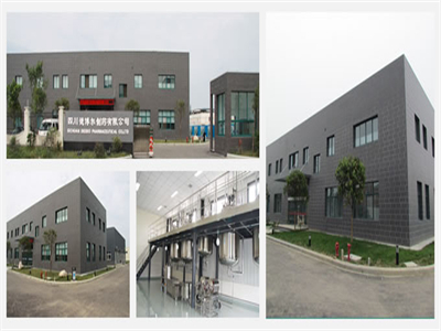 四川(chuan)德博爾(ěr)制藥有(you)限公司(si)